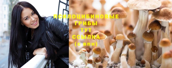 spice Заволжье