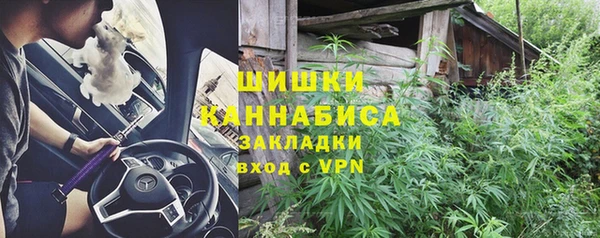 крисы Заводоуковск