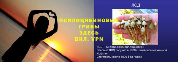 spice Заволжье