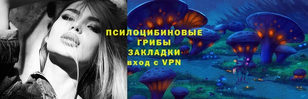 крисы Заводоуковск