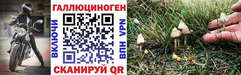 Купить закладки Нелидово Галлюциногенные грибы ЛСД